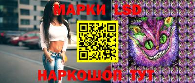 дмт Сланцы