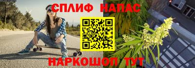 амф Славгород