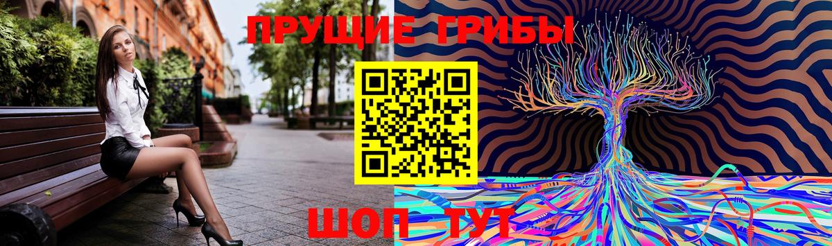 Псилоцибиновые грибы Cubensis  Вход с VPN  Псилоцибиновые грибы мухоморы  Острогожск 